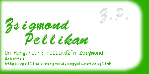 zsigmond pellikan business card